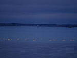 Click to see Y-DP-F9377.JPG