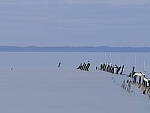 Click to see Y-DP-F9445.JPG