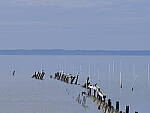 Click to see Y-DP-F9449.JPG