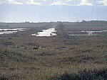 Click to see Y-DP-F9517.JPG