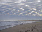 Click to see Y-DP-F9536.JPG
