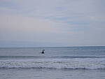 Click to see Y-DP-F9596.JPG