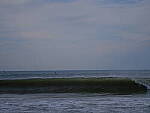 Click to see Y-DP-F9597.JPG