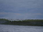 Click to see Y-DP-F9616.JPG