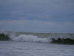Click to see Y-DP-F9618.JPG