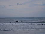 Click to see Y-DP-F9670.JPG