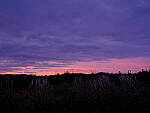 Click to see Y-DP-F9761.JPG