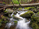 Click to see Y-JG-GFX100-FW-1-0-0932-0940-STACK.JPG