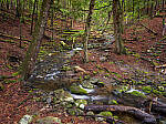 Click to see Y-JG-GFX100-FW-1-0-0958-0961-STACK.JPG