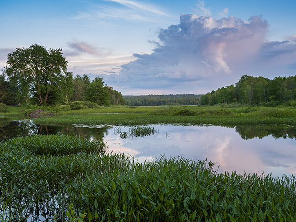 Fujifilm GFX 100 Review: Field Test -- Gallery Image