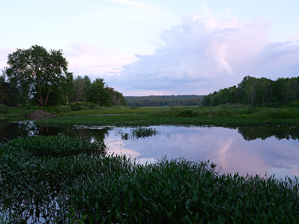 Fujifilm GFX 100 Review: Field Test -- Gallery Image