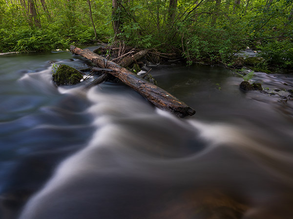 Fujifilm GFX 100 Review: Field Test -- Gallery Image