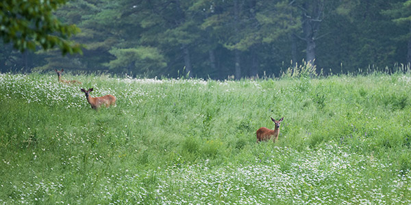 Fujifilm GFX 100 Review: Field Test -- Gallery Image
