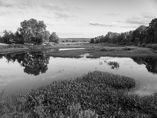 Fujifilm GFX 100 Review: Field Test -- Gallery Image