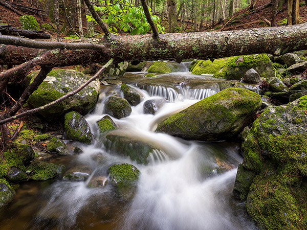 Fujifilm GFX 100 Review: Field Test -- Gallery Image