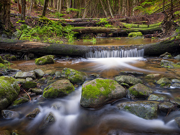 Fujifilm GFX 100 Review: Field Test -- Gallery Image