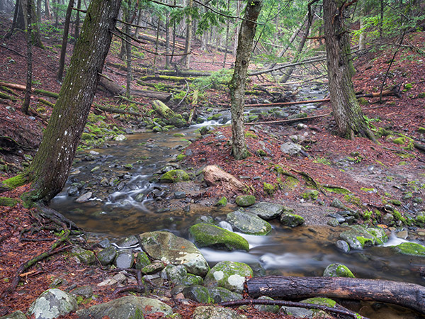 Fujifilm GFX 100 Review: Field Test -- Gallery Image