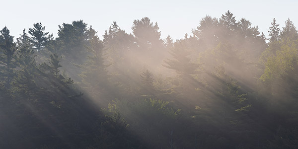 Fujifilm GFX 100 Review: Field Test -- Gallery Image