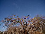 Click to see Y-JG-GFX-100S-0774-ISO-12800.JPG