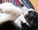 Click to see Y-JG-GFX-100S-0828-MOD.JPG