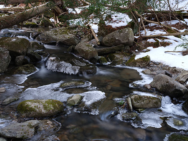 Fujifilm GFX 100S Hands-on Preview -- Beta Sample Image