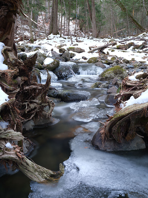 Fujifilm GFX 100S Hands-on Preview -- Beta Sample Image
