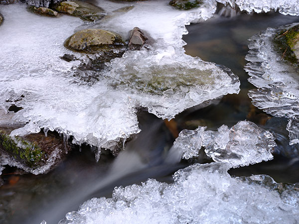 Fujifilm GFX 100S Hands-on Preview -- Beta Sample Image