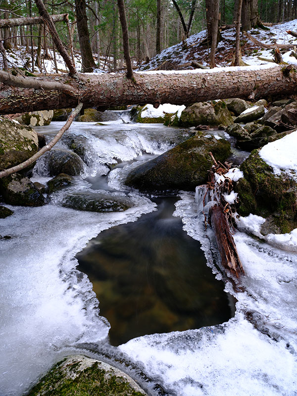Fujifilm GFX 100S Hands-on Preview -- Beta Sample Image