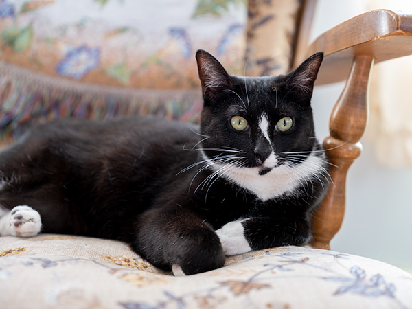 Fujifilm GFX 100S Review: Field Test -- Gallery Image