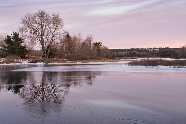 Fujifilm GFX 100S Review: Field Test -- Gallery Image
