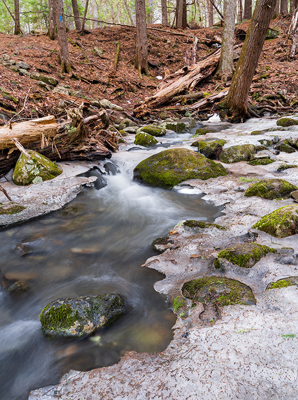 Fujifilm GFX 100S Review: Field Test -- Gallery Image