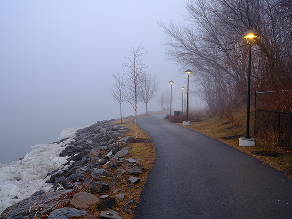 Fujifilm GFX 100S Review: Field Test -- Gallery Image