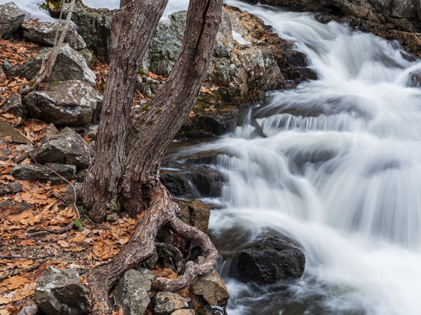 Fujifilm GFX 100S Review: Field Test -- Gallery Image