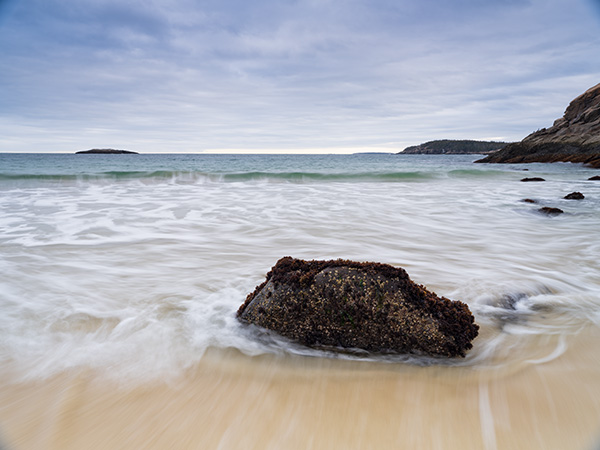 Fujifilm GFX 100S Review: Field Test -- Gallery Image