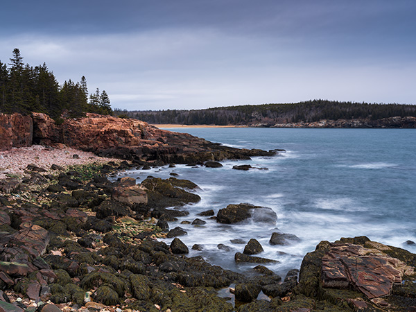 Fujifilm GFX 100S Review: Field Test -- Gallery Image