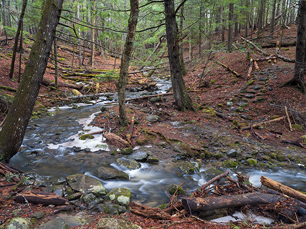 Fujifilm GFX 100S Review: Field Test -- Gallery Image