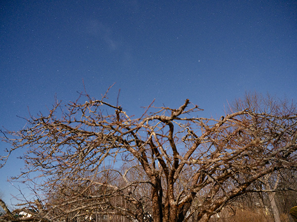 Fujifilm GFX 100S Review: Field Test -- Gallery Image