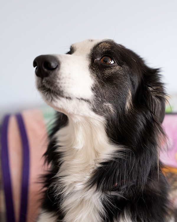Fujifilm GFX 100S Review: Field Test -- Gallery Image