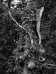 Click to see Y-beta-0245.JPG