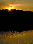 Click to see Y-beta-0274-edt.JPG