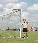Click to see Y-beta-0395-edt.JPG