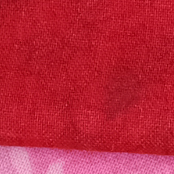 100% crop from Fujifilm GFX 50R test image taken at ISO 1600