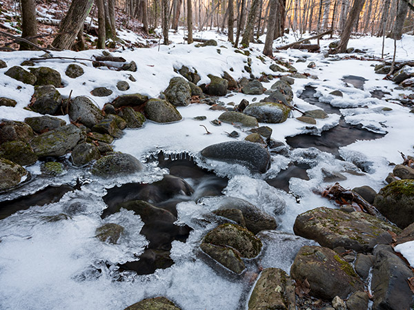 Fujifilm GFX 50R Review: Field Test -- Gallery Image