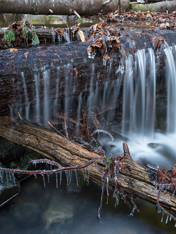 Fujifilm GFX 50R Review: Field Test -- Gallery Image