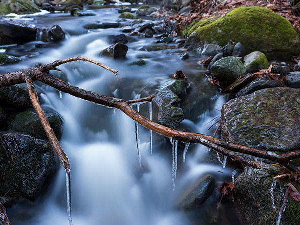 Fujifilm GFX 50R Review: Field Test -- Gallery Image
