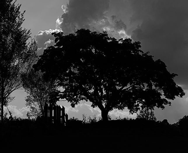 Fujifilm GFX-50R - Sample Image