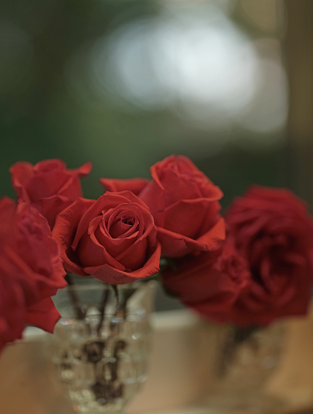 Fujifilm GFX-50R - Sample Image