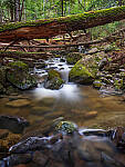 Click to see Y-GFX-50S-II-JG-0530-MOD.JPG