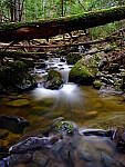 Click to see Y-GFX-50S-II-JG-0530.JPG