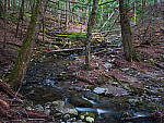 Click to see Y-GFX-50S-II-JG-0555-MOD.JPG